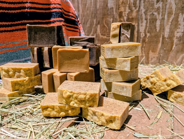 Desert Alchemy: Crafting Soap from the Wild Heart of Tucson